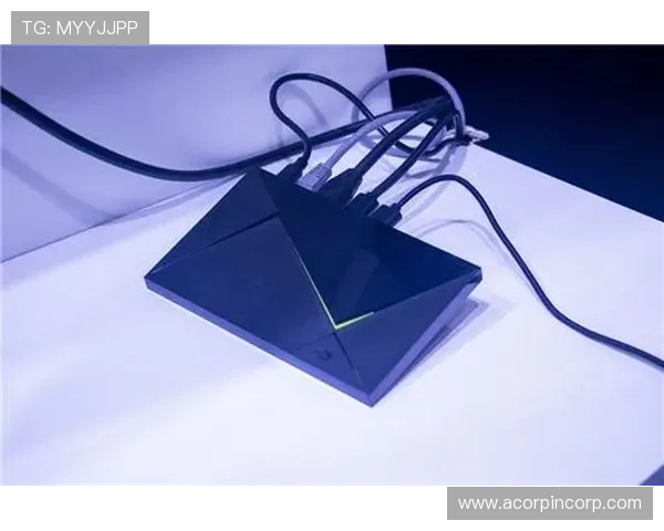 全面解析ku娱乐真人游戏的安全性与公平性保障措施,放心畅玩每一局